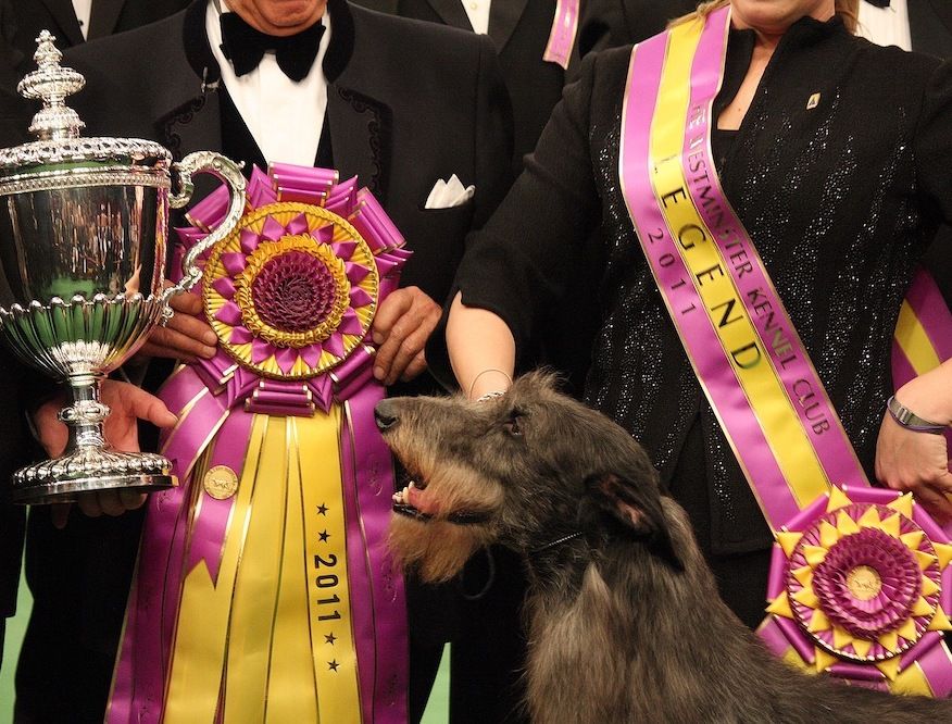 Question of the Week